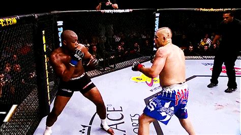 ufc sherdog forum|ufc fight club free forum.